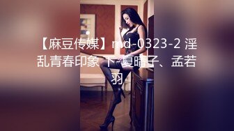 【麻豆传媒】md-0323-2 淫乱青春印象 下-夏晴子、孟若羽