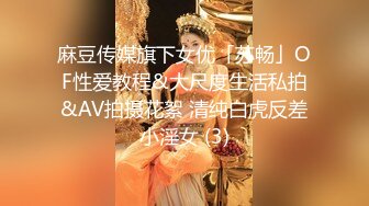 麻豆传媒旗下女优「苏畅」OF性爱教程&大尺度生活私拍&AV拍摄花絮 清纯白虎反差小淫女 (3)