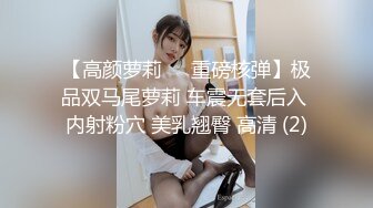 【高颜萝莉❤️重磅核弹】极品双马尾萝莉 车震无套后入 内射粉穴 美乳翘臀 高清 (2)