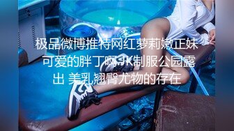 极品微博推特网红萝莉嫩正妹 可爱的胖丁啊 JK制服公园露出 美乳翘臀尤物的存在