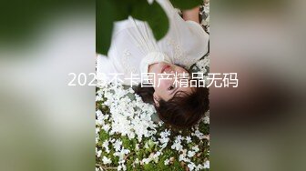 2023不卡国产精品无码