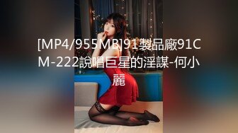 [MP4/955MB]91製品廠91CM-222說唱巨星的淫謀-何小麗