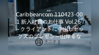 Caribbeancom 110423-001 新入社員のお仕事 Vol.26 ～クライアントに中出しセックスのプレゼン～山岸るな