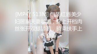 [MP4/ 513M] 气质红唇美少妇居家夫妻啪啪，穿上开档肉丝张开双腿舔逼，骑乘扶手上下套弄