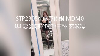 STP23054 麻豆传媒 MDM003 恋爱咖啡馆 第三杯 玄米姆姆