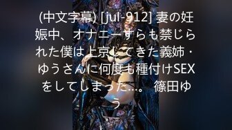 (中文字幕) [jul-912] 妻の妊娠中、オナニーすらも禁じられた僕は上京してきた義姉・ゆうさんに何度も種付けSEXをしてしまった…。 篠田ゆう