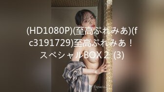 (HD1080P)(至高ぷれみあ)(fc3191729)至高ぷれみあ！スペシャルBOX２ (3)