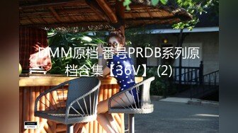 DMM原档 番号PRDB系列原档合集【36V】 (2)