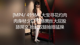 [MP4/ 499M] 大宝寻花约肉肉身材少妇 性感黑丝大屁股舔屌交 抬起双腿抽插猛操