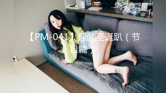 【PM-041】淫乱圣诞趴（节目篇）