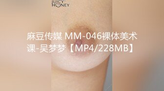 麻豆传媒 MM-046裸体美术课-吴梦梦【MP4/228MB】