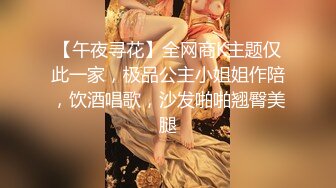 【午夜寻花】全网商K主题仅此一家，极品公主小姐姐作陪，饮酒唱歌，沙发啪啪翘臀美腿