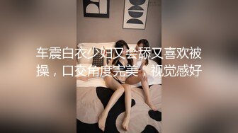 车震白衣少妇又会舔又喜欢被操，口交角度完美，视觉感好