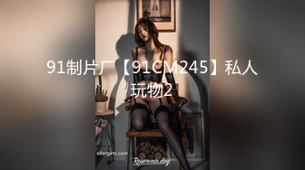 91制片厂【91CM245】私人玩物2