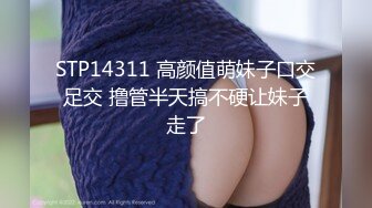 [MP4/317M]11/23最新 楼凤约嫖客回住所啪啪偷拍服务还不错给口爆吞精VIP1196