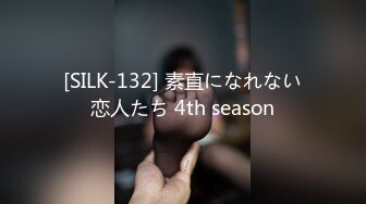 [SILK-132] 素直になれない恋人たち 4th season