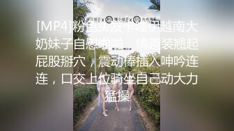 [MP4]粉色头发卡哇伊越南大奶妹子自慰啪啪，情趣装翘起屁股掰穴，震动棒插入呻吟连连，口交上位骑坐自己动大力猛操