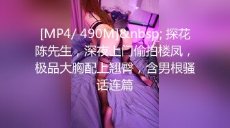 [MP4/ 490M]&nbsp; 探花陈先生，深夜上门偷拍楼凤，极品大胸配上翘臀，含男根骚话连篇