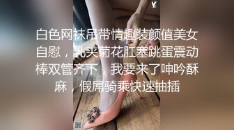 白色网袜吊带情趣装颜值美女自慰，乳夹菊花肛塞跳蛋震动棒双管齐下，我要来了呻吟酥麻，假屌骑乘快速抽插