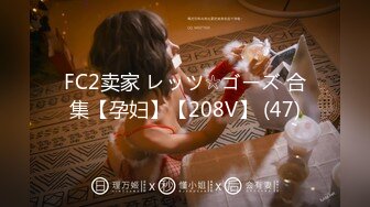 FC2卖家 レッツ☆ゴーズ 合集【孕妇】【208V】 (47)