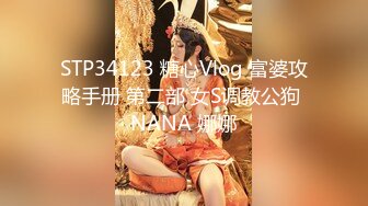 STP34123 糖心Vlog 富婆攻略手册 第二部 女S调教公狗 NANA 娜娜