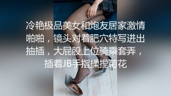 冷艳极品美女和炮友居家激情啪啪，镜头对着肥穴特写进出抽插，大屁股上位骑乘套弄，插着JB手指揉捏菊花