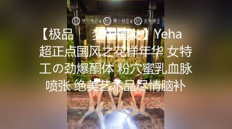 【极品❤️梦中情女】Yeha✿ 超正点国风之花样年华 女特工の劲爆酮体 粉穴蜜乳血脉喷张 绝美艺术品尽情脑补