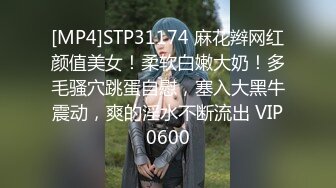 [MP4]STP31174 麻花辫网红颜值美女！柔软白嫩大奶！多毛骚穴跳蛋自慰，塞入大黑牛震动，爽的淫水不断流出 VIP0600