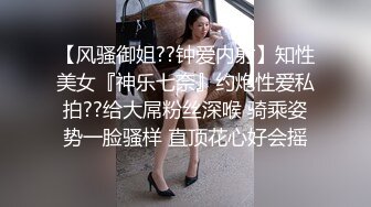 -更一个k9的作品是不是这种很受欢迎呢