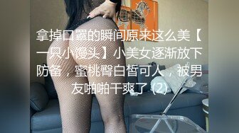 全网最美D奶上位后入