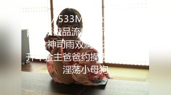 [MP4/ 533M]&nbsp;&nbsp;最新极品流出极品学院派超美女神司雨双洞齐开二部曲 开年金主爸爸约操极品JK制服淫荡小母狗