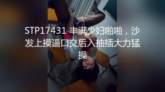 STP17431 丰满少妇啪啪，沙发上摸逼口交后入抽插大力猛操