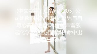 华裔留学生～刘安娜高颜值气质美妞效仿刘玥～走上色情女星之路～与大鸡巴洋男友激情啪啪啪第二弹