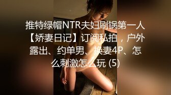 推特绿帽NTR夫妇刷锅第一人【娇妻日记】订阅私拍，户外露出、约单男、换妻4P、怎么刺激怎么玩 (5)