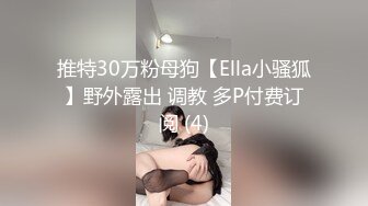 推特30万粉母狗【Ella小骚狐】野外露出 调教 多P付费订阅 (4)