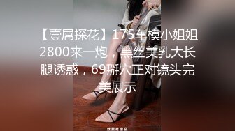 【壹屌探花】175车模小姐姐2800来一炮，黑丝美乳大长腿诱惑，69掰穴正对镜头完美展示