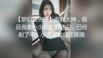 数百位极品反差母狗性爱甄选 极品女神各种乱操内射