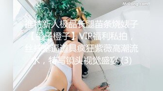 推特新人极品长腿苗条烧婊子【橙子橙子】VIP福利私拍，丝袜塞逼道具疯狂紫薇高潮流水，特写镜头视觉盛宴 (3)