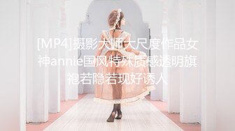 [MP4]摄影大师大尺度作品女神annie国风特殊质感透明旗袍若隐若现好诱人