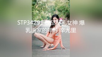 STP34291 极品酥乳女神 爆乳画家的呻吟 辛尤里