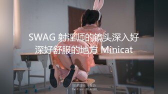 SWAG 射淫师的镜头深入好深好舒服的地方 Minicat