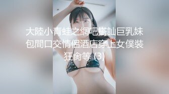 大陸小青蛙之網吧搭訕巨乳妹包間口交情侶酒店穿上女僕裝狂肏等 (3)