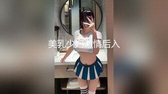 美乳少妇激情后入