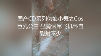 国产CD系列伪娘小舞之Cos巨乳公主 坐骑假屌飞机杯自慰射不少