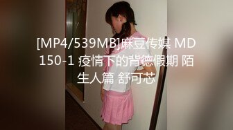 [MP4/539MB]麻豆传媒 MD150-1 疫情下的背德假期 陌生人篇 舒可芯