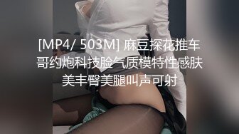 [MP4/ 503M] 麻豆探花推车哥约炮科技脸气质模特性感肤美丰臀美腿叫声可射