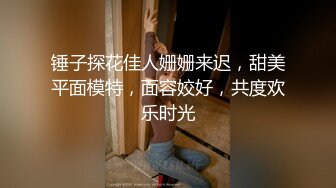 锤子探花佳人姗姗来迟，甜美平面模特，面容姣好，共度欢乐时光