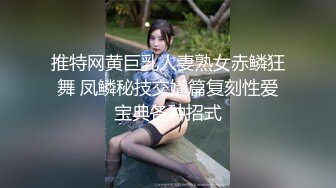 推特网黄巨乳人妻熟女赤鳞狂舞 凤鳞秘技交媾篇复刻性爱宝典各种招式