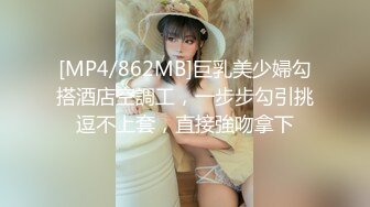 [MP4/862MB]巨乳美少婦勾搭酒店空調工，一步步勾引挑逗不上套，直接強吻拿下