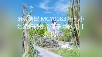 麻豆传媒 MCY0083 巨乳小姑诱奸破处亲侄子 赖畇希【水印】